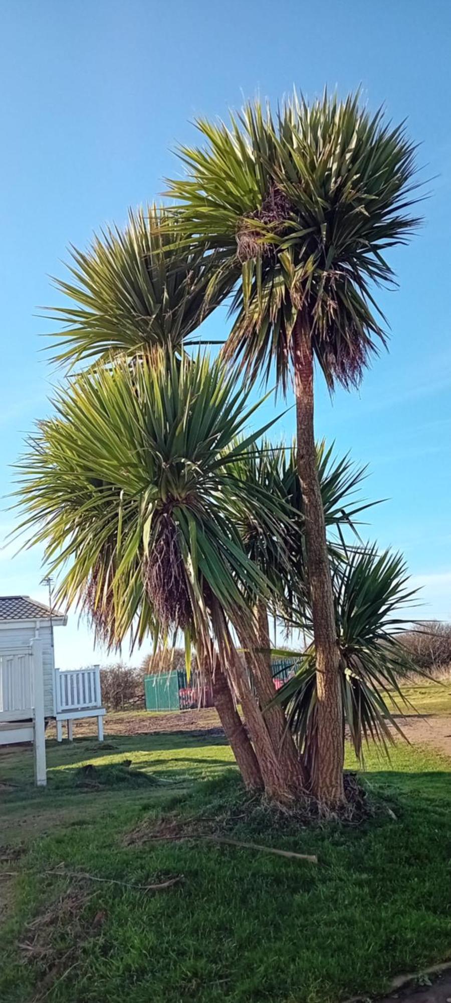 Roseanna Retreat Barmston Beach Parkdean Holiday Park Hotel Luaran gambar